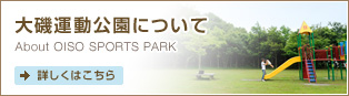 大磯運動公園について